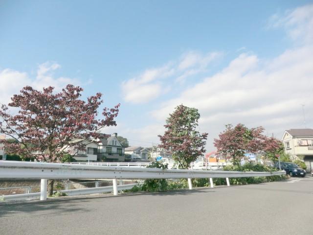 Local photos, including front road. Location