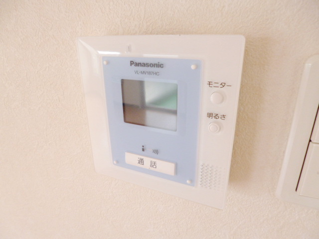 Security. Monitor with intercom