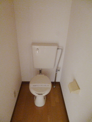 Toilet. Toilet with cleanliness