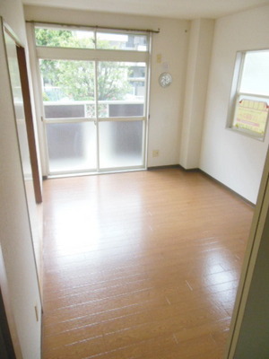 Living and room. Bright Western-style two-sided lighting