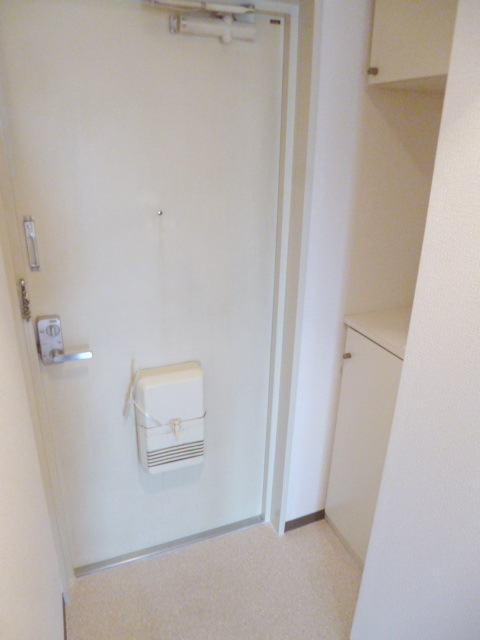 Entrance. Entrance space