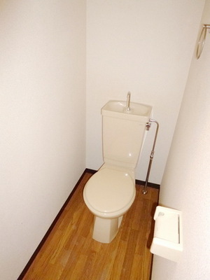 Toilet. Toilet