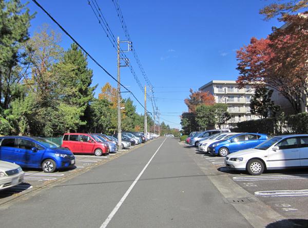 Parking lot. Common areas