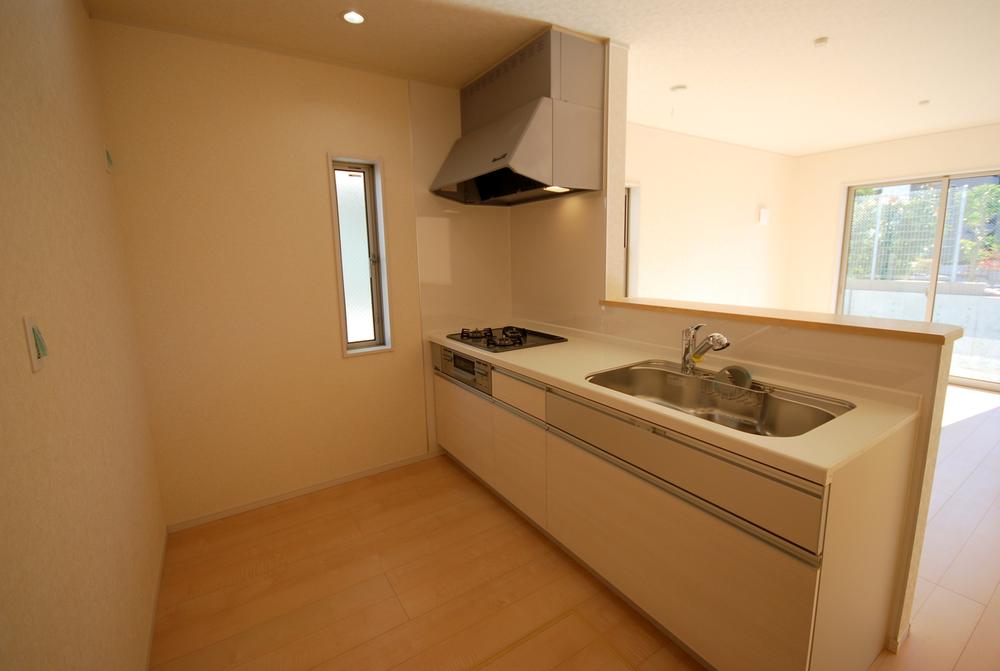 Kitchen. Indoor (12 May 2013) Shooting