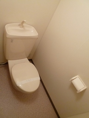 Toilet. Hot breath in the toilet with cleanliness