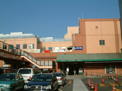 Shopping centre. Gurinado Nagayama until the (shopping center) 300m