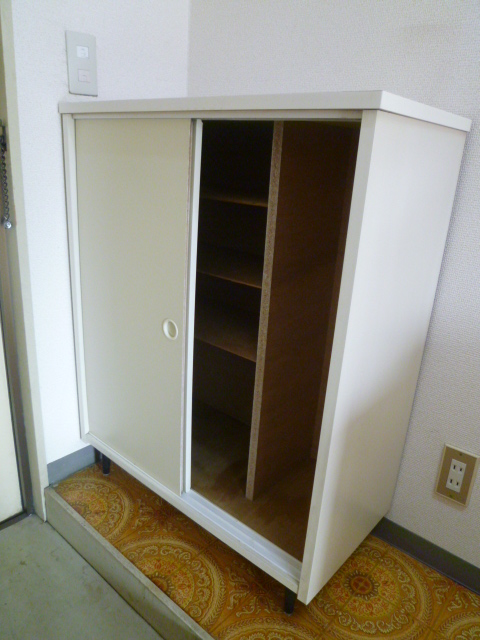 Receipt. Shoes is with a box