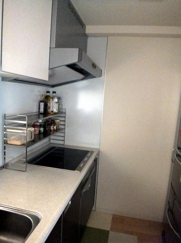 Other. IH cooking heater