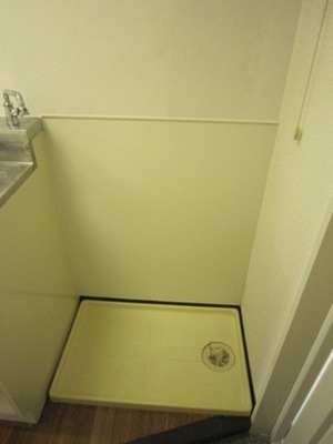 Washroom. Washing machine in the room