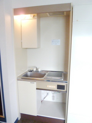 Kitchen. IH stove kitchen