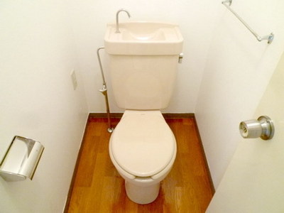 Toilet. Toilet