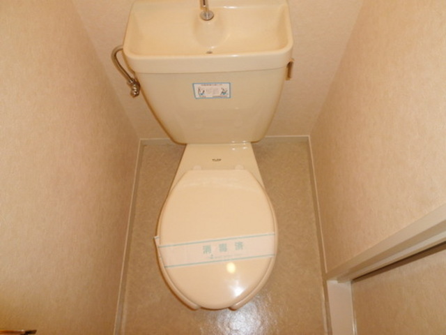 Toilet. Toilet