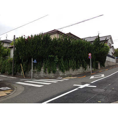 Local land photo. Appearance Photo 1