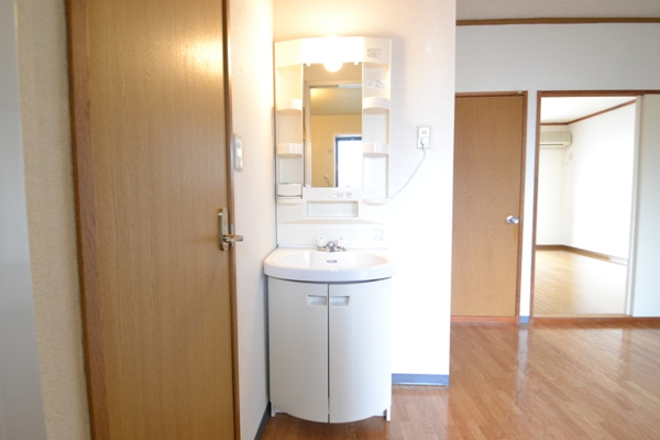 Washroom. Wash basin