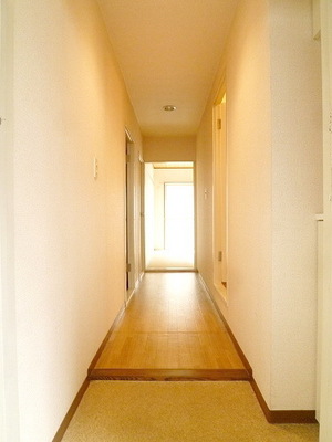 Entrance. There cupboard in the front door