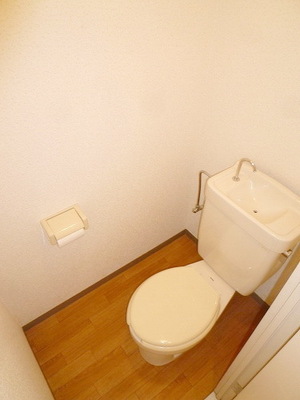 Toilet. Toilet