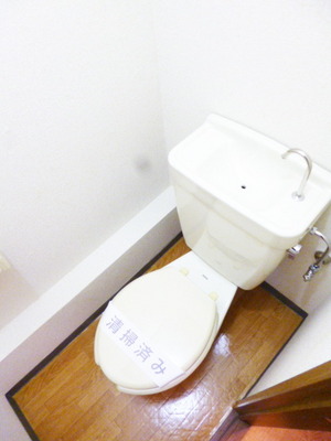 Toilet. Toilet