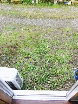 Receipt. There terrace clotheshorse