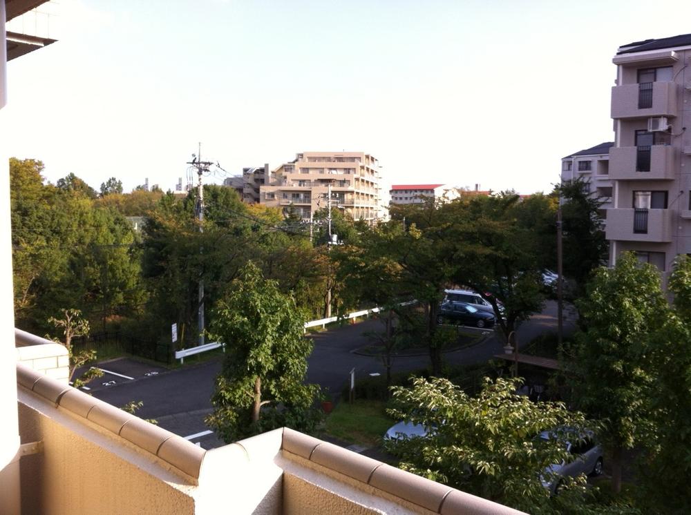 Tama Ochiai, Tokyo 5