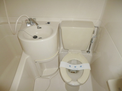 Washroom. Cleaning is too easy