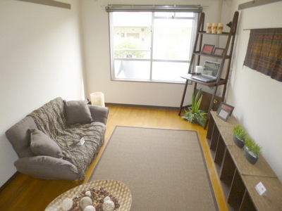 Living and room. model room