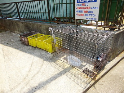 Other common areas. Garbage is yard