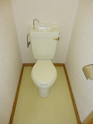 Toilet. Toilet