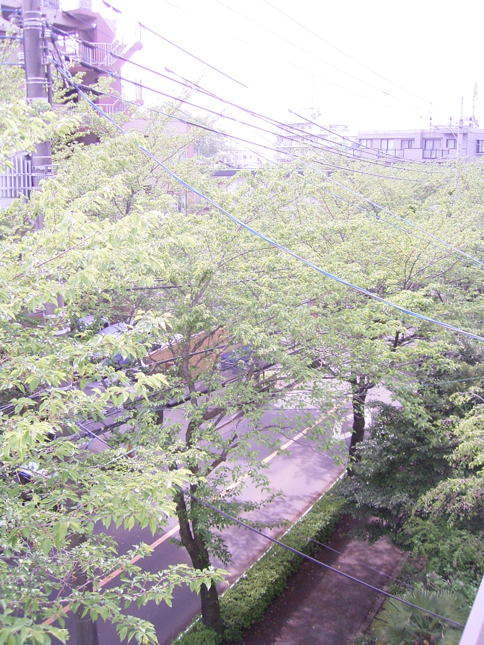 View. Day is outstanding south-facing