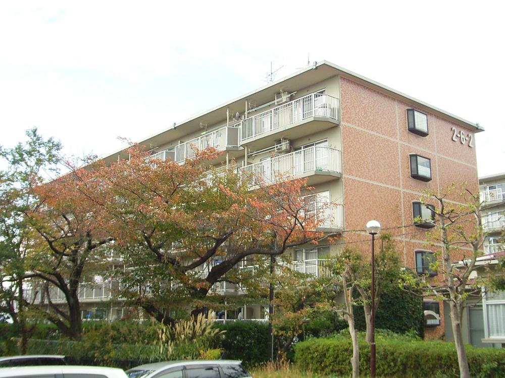 Local appearance photo. Local (11 May 2013) Shooting