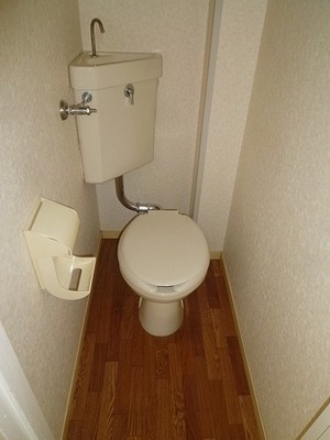 Toilet. Toilet