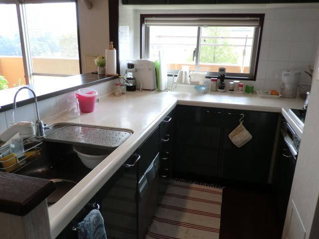 Kitchen. System kitchen