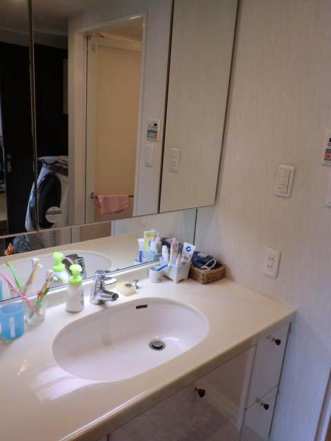 Wash basin, toilet. Bathroom vanity