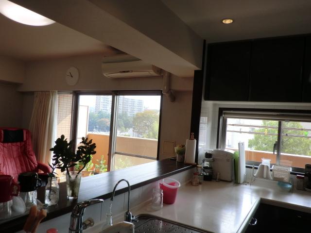 Living. Living-dining kitchen