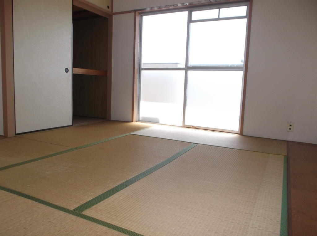Other room space. Bright Japanese-style room