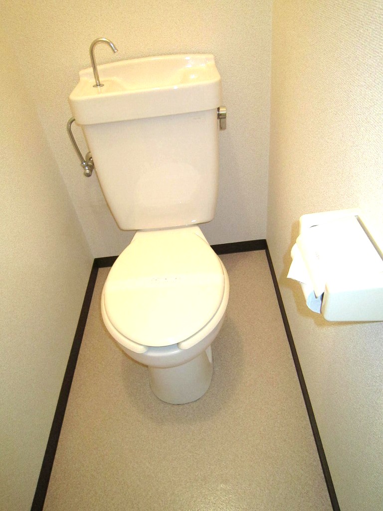 Toilet. Room with cleanliness