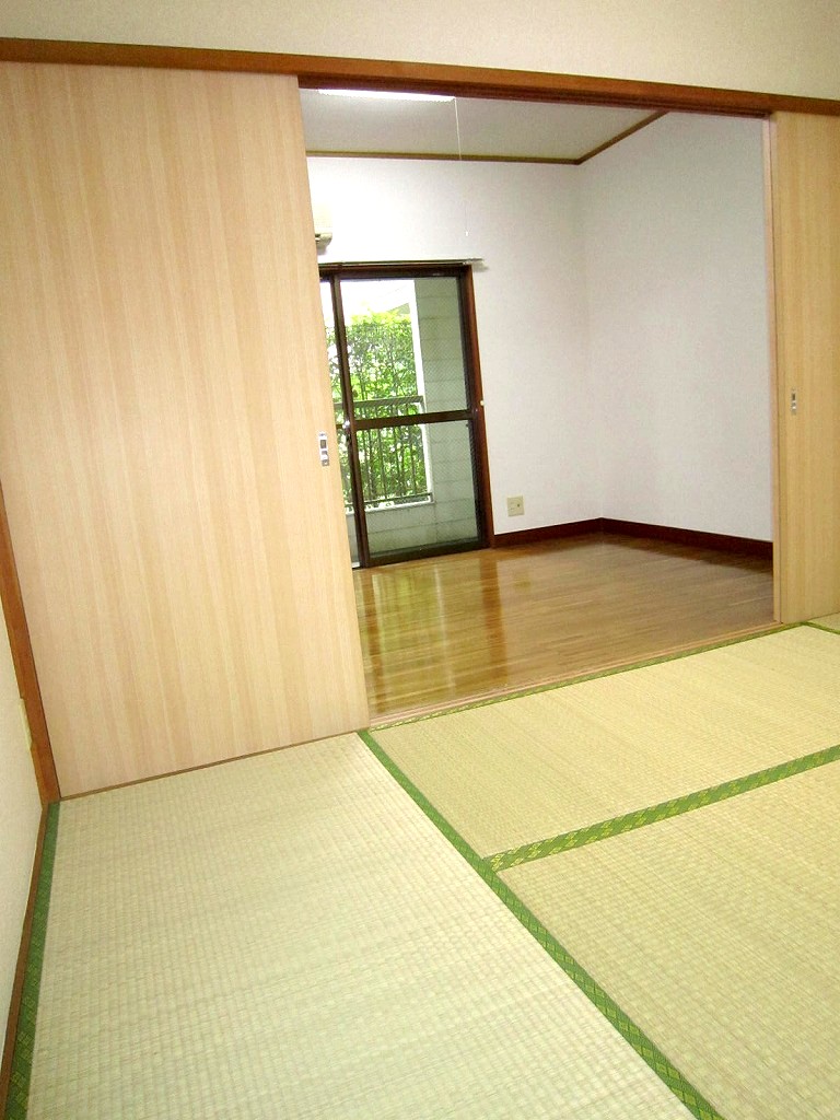 Living and room. It is try to wide living room taking a partition?