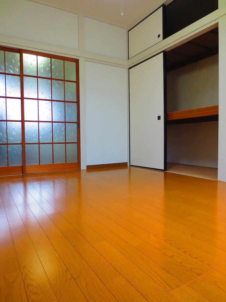 Living and room. Flooring of cleaning Ease