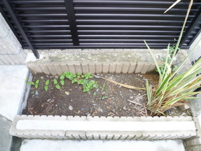 Other common areas. Terrace is House.