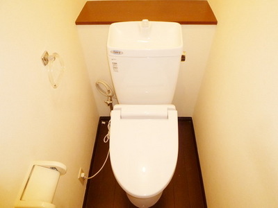 Toilet. Toilet