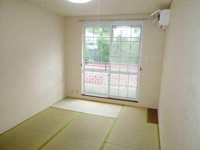 Other room space. Bright Japanese-style room