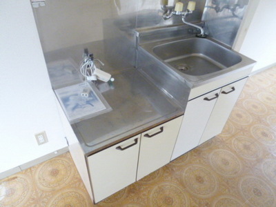 Kitchen. Two-burner gas stove is installation-friendly type of kitchen