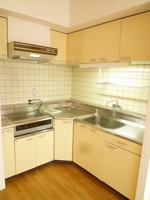 Kitchen. L-shaped kitchen