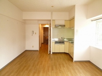 Living and room. Sunny bright living