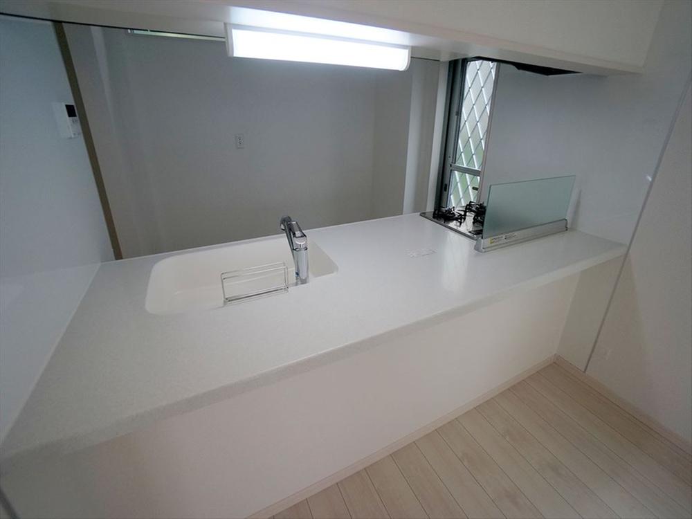 Kitchen. Indoor (11 May 2013) Shooting