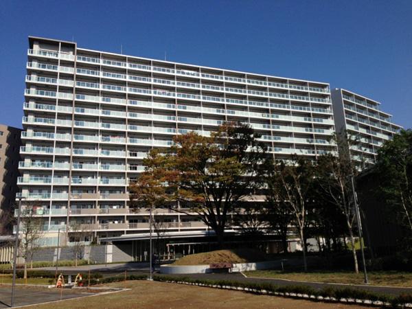 Local appearance photo. Local (11 May 2013) Shooting