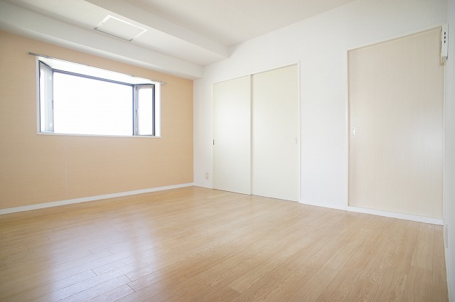 Living and room. Room with cleanliness!