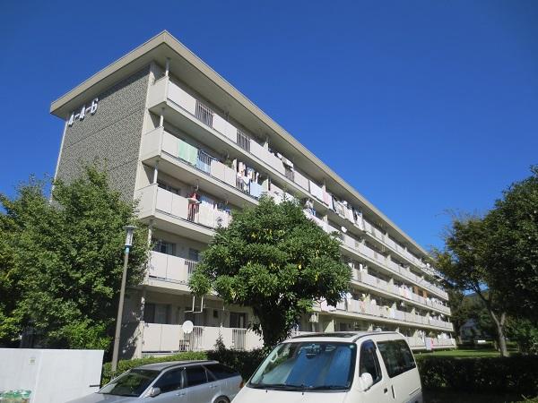 Local appearance photo. South-facing residential building placement of