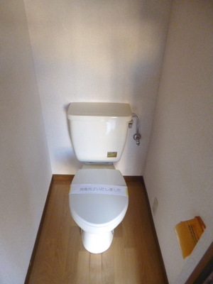 Toilet. Toilet with cleanliness