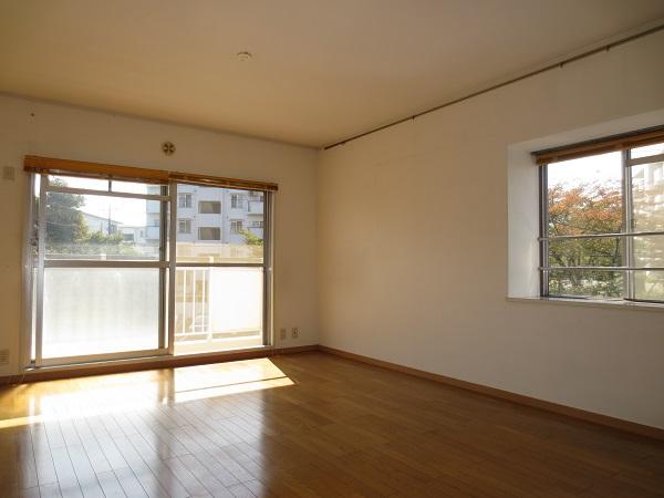 Living. Bright living room of the two-sided lighting