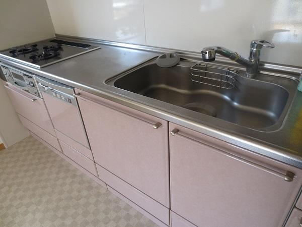 Kitchen. Dishwasher with a kitchen